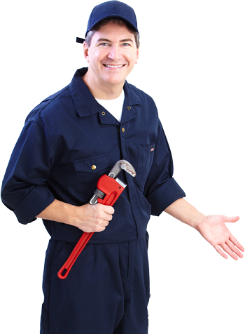 Explore Our Services